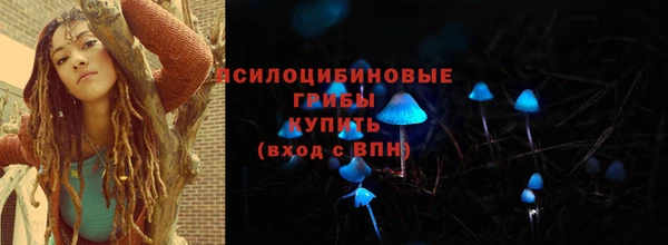 хмурый Каменка