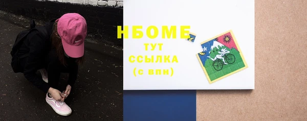 хмурый Каменка