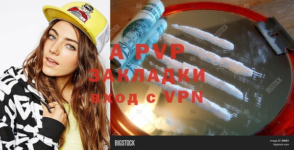хмурый Каменка
