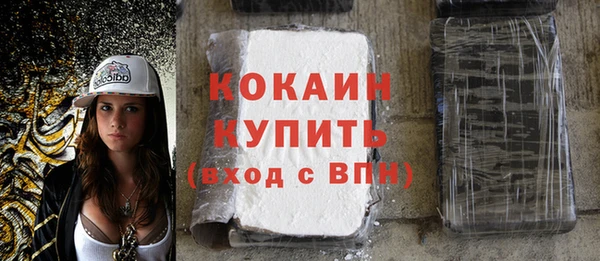 хмурый Каменка