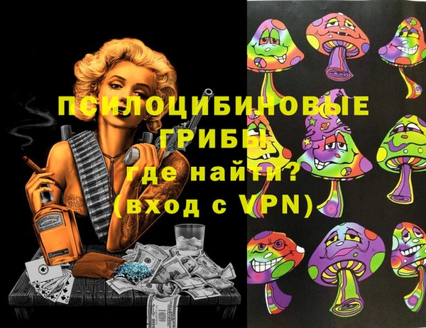 хмурый Каменка