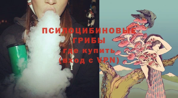мескалин Каменногорск
