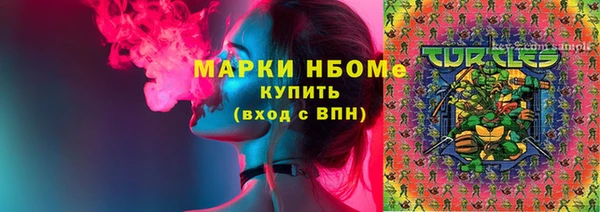 хмурый Каменка
