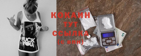 хмурый Каменка