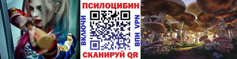 Купить закладки  Новоуральск  Псилоцибиновые грибы Psilocybe 
